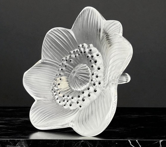 Image 1 of Lalique - Anemoon