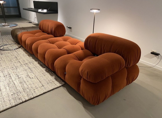 B&B Italia Camaleonda Licata 333 Terracotta Velluto e Pelle – Divani modulari, Textile (photo 6 of 15)