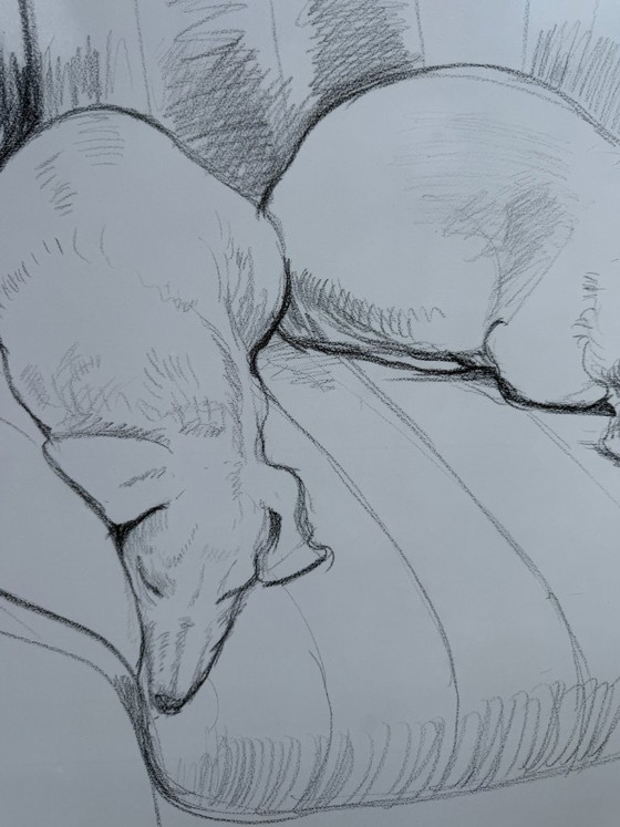 Image 1 of David Hockney (1937-2026), Black and White Dogs Exhibition Poster, 1994, copyright David Hockney, Printed in the UK