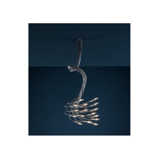 Image 1 of Cattelani & smith | turcio 16