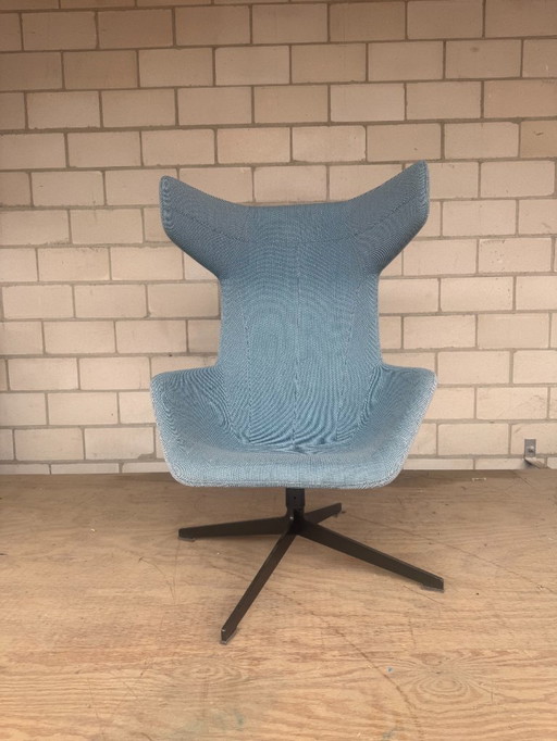 Sedia Moroso Take A Line For A Walk