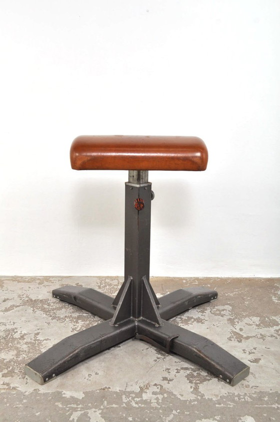 Image 1 of Cervo da ginnastica d'epoca come elemento di attrazione