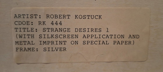 Robert Kostuck - "Strange Desires 1" & "Strange Desires 2" – Arte, Vetro, Metallo (photo 10 of 22)