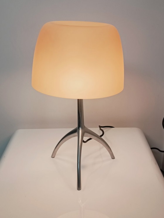 Image 1 of Lumiere Tavolo Lamp by Rodolfo Dordoni for Foscarini 1990