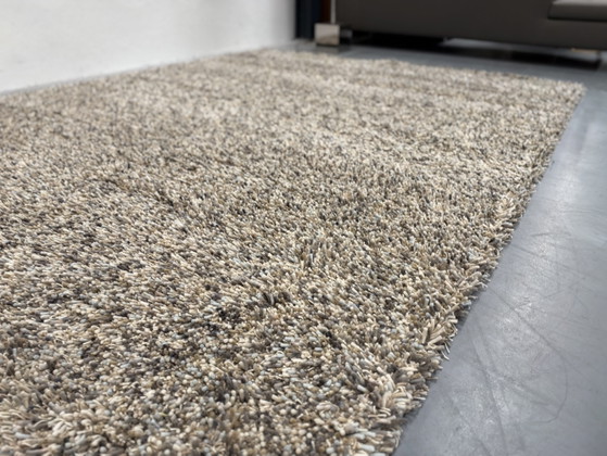 Brink en Campman Young Driftwood 61805 240x345 – Brink & Campman, Tapis, Laine (photo 3 of 7)