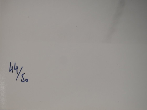 Marc Lacroix: Dali blickt in die Ferne, Originalfotografie mit Signatur – Paper (photo 6 of 6)