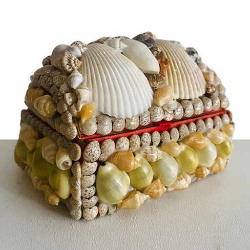 Boîte à bijoux en coquillage avec aquarium