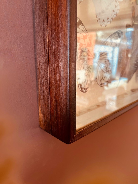 Image 1 of Unique ! 3 armoires papillon vintage exotiques