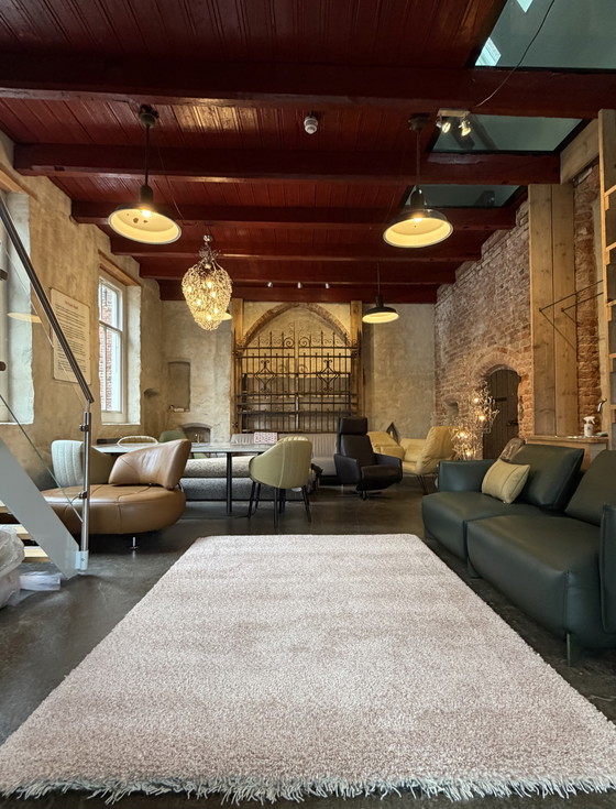 Image 1 of Alfombra Brink y Campman Sprout