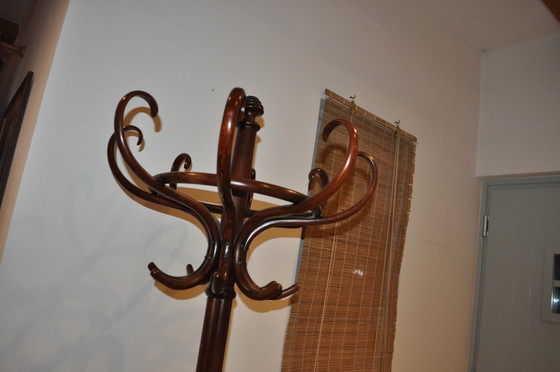 Portemanteau hongrois ancien sur pied de Thonet – Portemanteaux (photo 7 of 8)