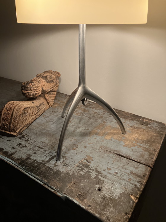 Image 1 of Lámpara grande de Foscarini