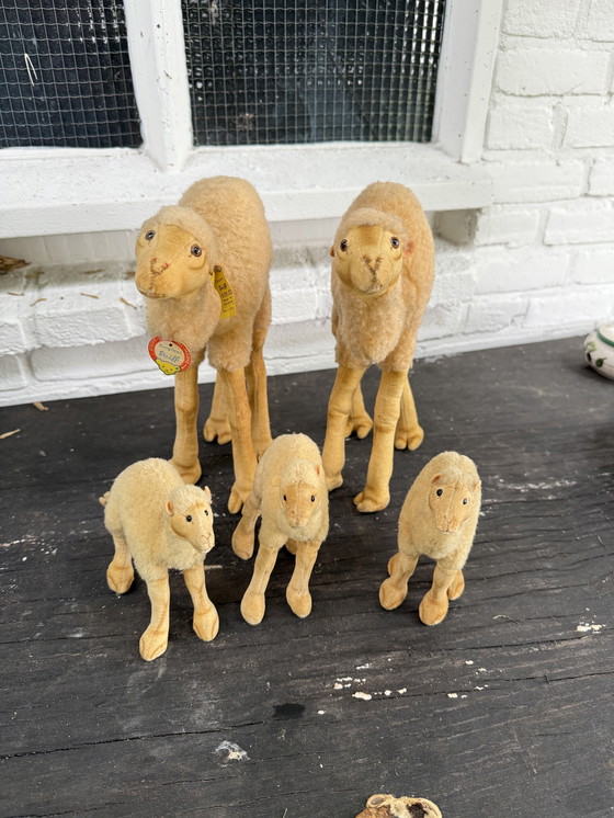 Image 1 of Zeldzame Steiff kameel familie – 5 stuks – met originele labels – ca. 1960/70