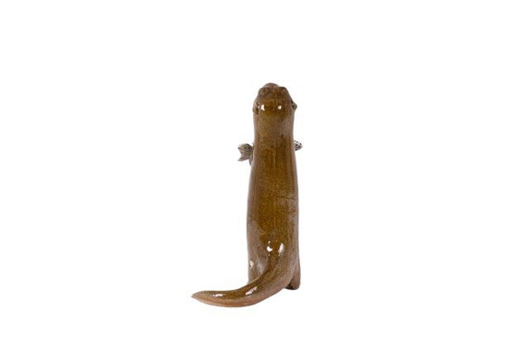 Image 1 of Valérie Courtet. Loutre Tenant un Poisson. Contemporain.