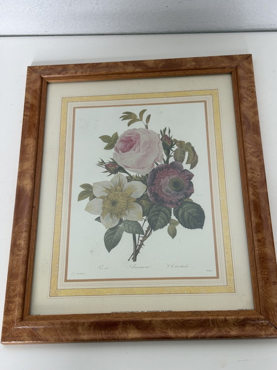 Image 1 of Coppia di stampe botaniche vintage Pierre-Joseph Redouté – Bernard Picture Co. (24x29 cm)
