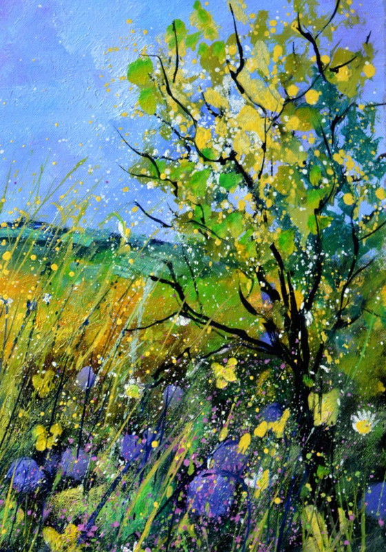 Image 1 of fiori estivi