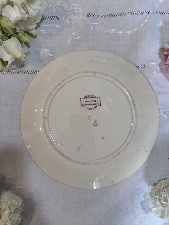 Image 1 of El plato plano favorito de Sarreguemines