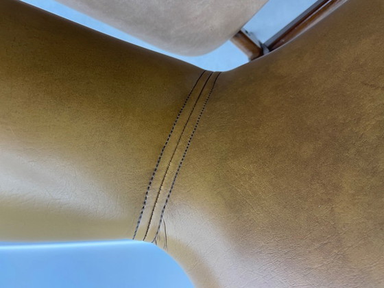 Image 1 of Louis van Teeffelen für das Wébé Penguin Restoration Project