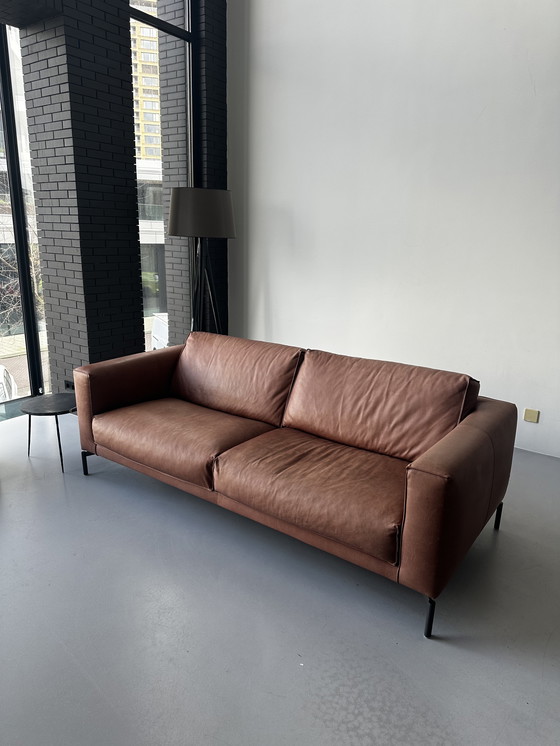 Image 1 of Linteloo Forever Canapé en cuir