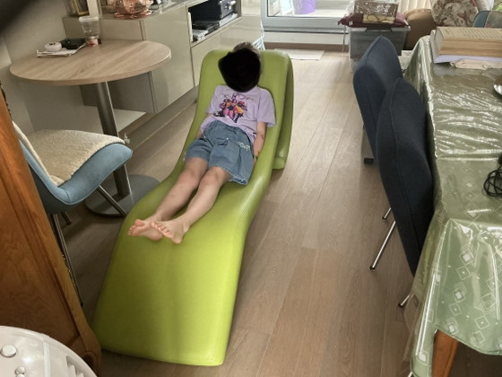 Image 1 of Eyecatcher longchair 