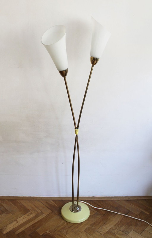 Organic Mid-Century Modern Floor Lamp in Brass and Milk Glass, Czechoslovakia