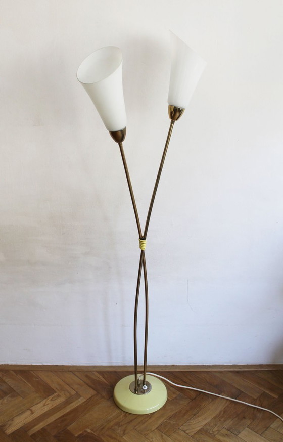 Image 1 of Organic Mid-Century Modern Floor Lamp in Brass and Milk Glass, Czechoslovakia