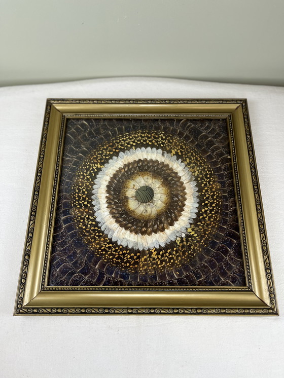 Image 1 of Tableau aile de papillons