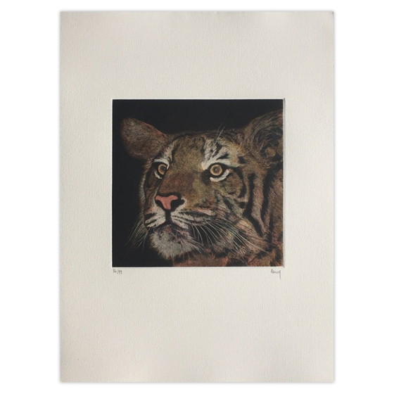 Henry gesigneerde mezzotint Tigre 1990 – Litho's & Zeefdrukken, Paper (photo 5 of 5)