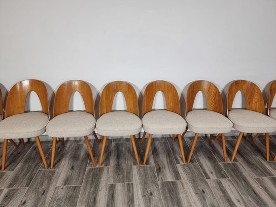 Image 1 of Dining Chairs from Antonin Suman, set of 12