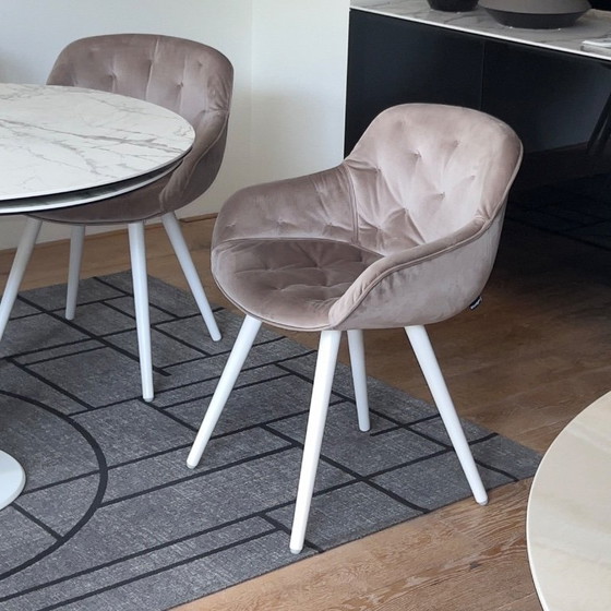 Image 1 of 4 sedie Calligaris Igloo | Velluto