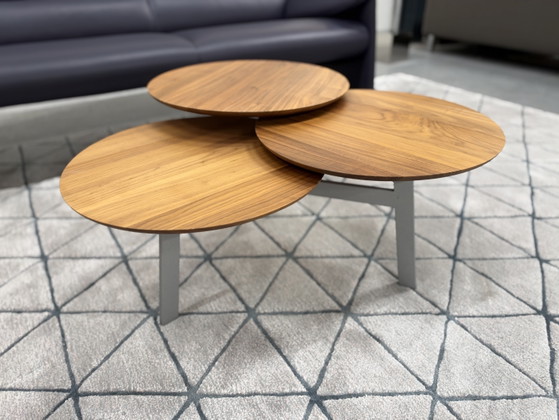 Leolux Ninfea Coffee table walnut houf, Wood, Multi Color (photo 11 of 14)