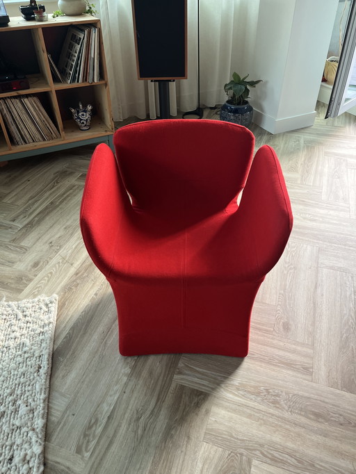 Moroso Bloomy