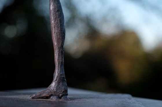 Gita in città – Jean-Luc Bertel, Sculture, Iron, Metal (photo 5 of 15)