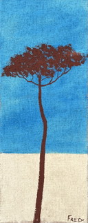 Pin parasol 50x20cm