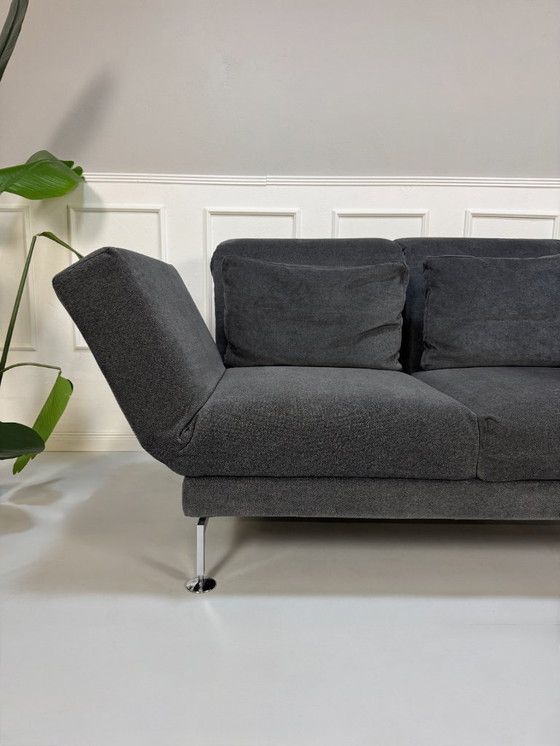 Image 1 of Brühl Moule Small Sofa Stoff Grau Gästebett