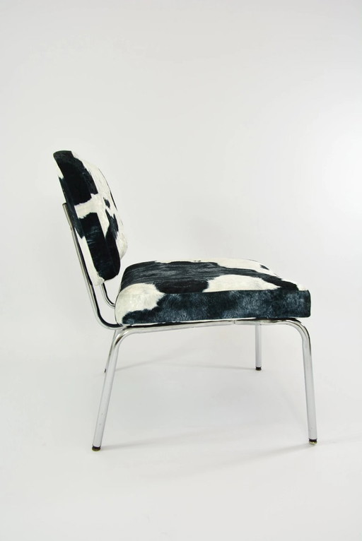 Koevormige stoelen