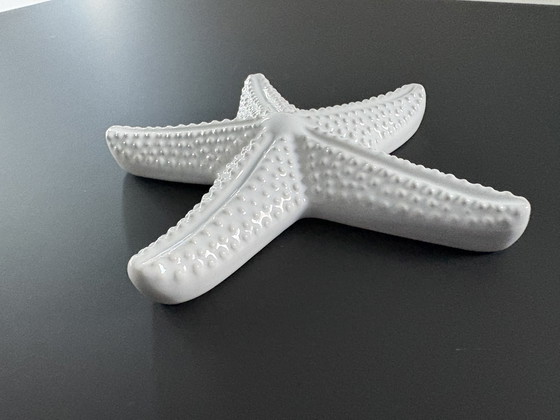 Image 1 of Stella marina decorativa in ceramica bianca smaltata