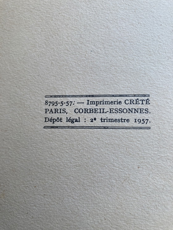 Image 1 of La terra del delfino verde