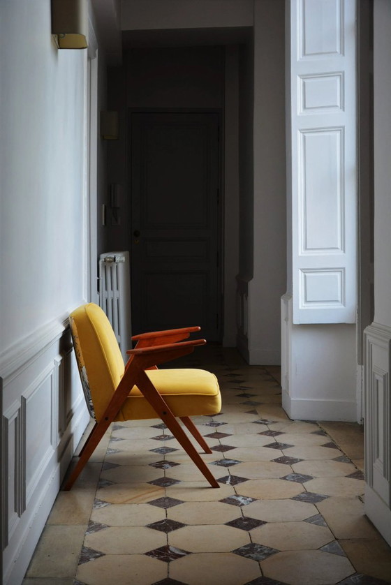 Image 1 of Gele konijnenfauteuil en vogels
