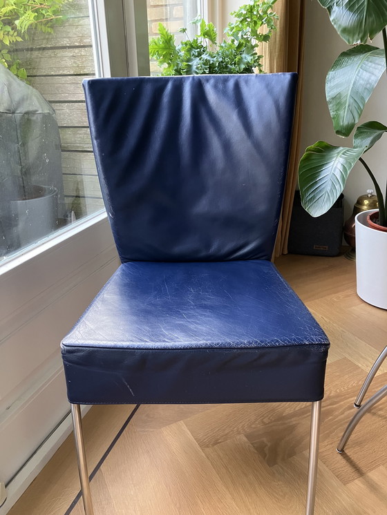 Image 1 of 6 Mountain Spike