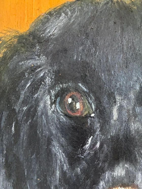Vintage original dog portrait oil painting, signed animal art – Paintings & Drawings, Wood, Canvas (photo 10 of 20)