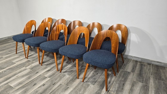 Image 1 of Esstischstühle von Antonin Suman