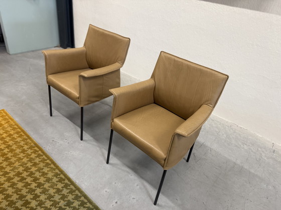 Image 1 of 2 Design on Stock Gola Dining Chairs Loxton Desert leather