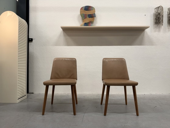 2 Montis Back me Up Chaises de salle à manger cuir marron tissu vert, Autre, Multicolore (photo 2 sur 9)