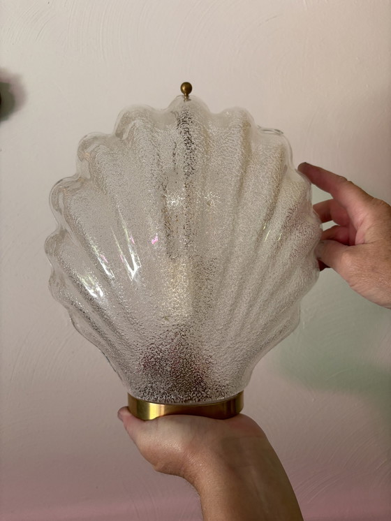 Image 1 of 2er-Set Murano-Muschel-Wandlampen Großformat