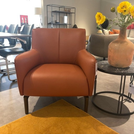 Évidence Santosa fauteuil