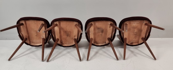 Image 1 of Chaises vintage d'Antonin Suman, années 1960, lot de 4