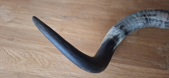 Kuhhörner – Wanddekoration, Andere, Metall (photo 4 of 8)