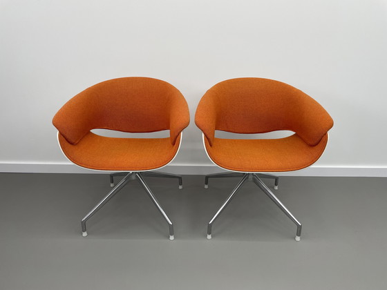 Image 1 of B&B Italia Sina Schalensitze 4 Stück