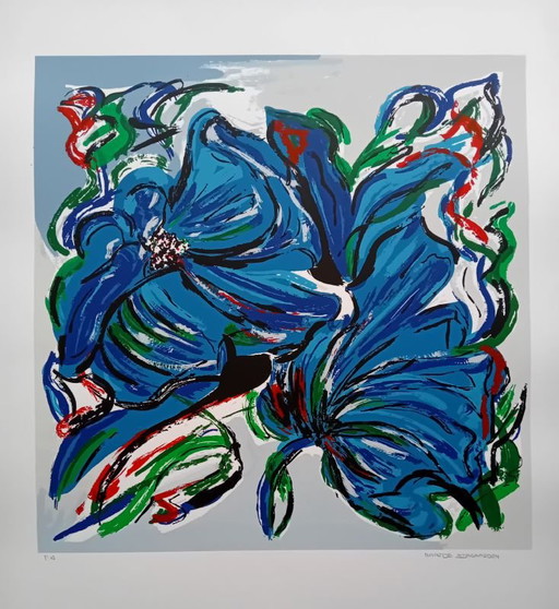 KLEURRIJKEKUNST FRIESLAND