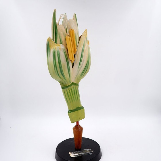 Image 1 of Botanisches Modell einer Weizenblüte aus Osterloh, Deutschland, 1940er/50er Jahre